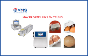 Máy in date Linx lên trứng tốc độ cao